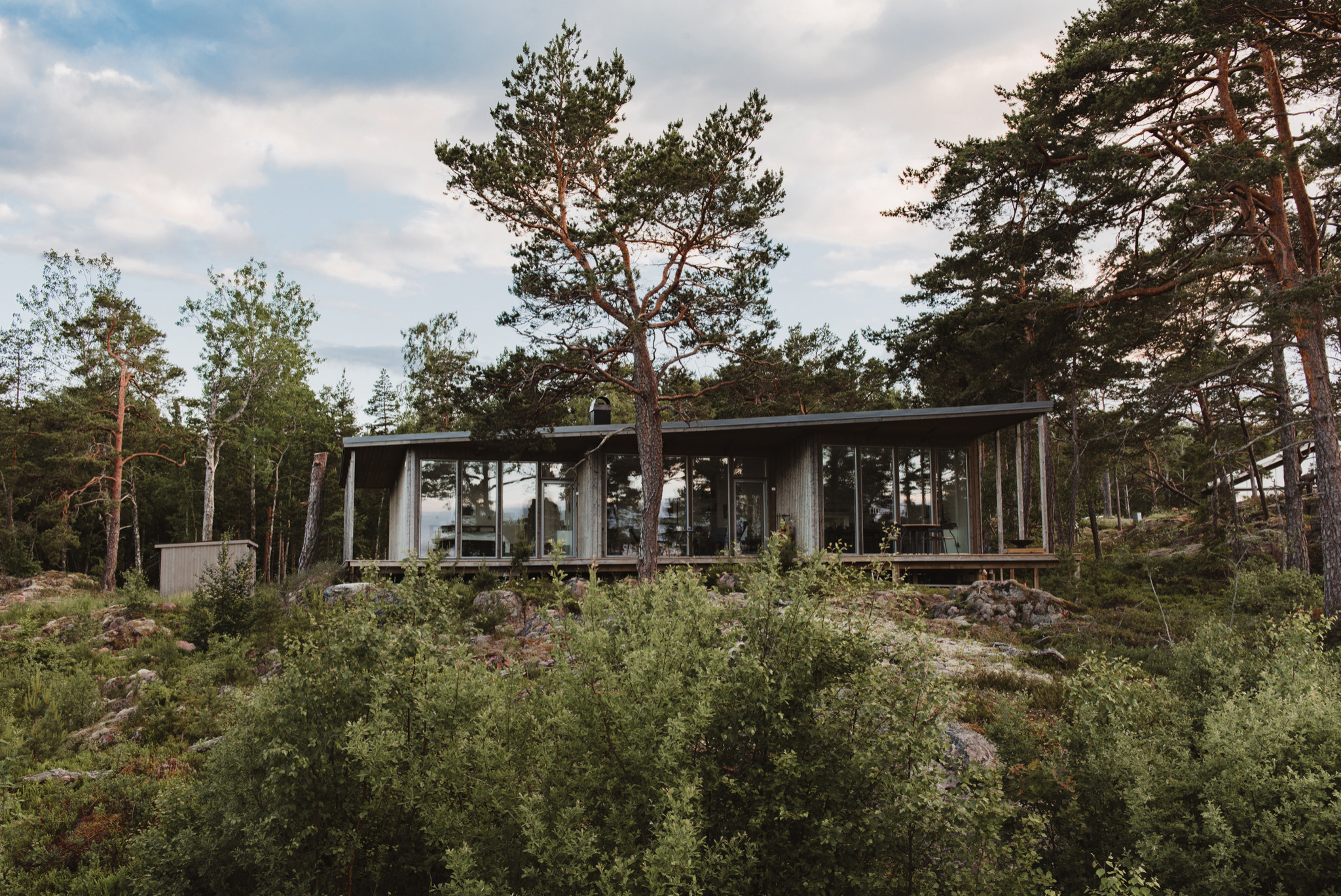 Прогулка на диване: Дома в глухом лесу