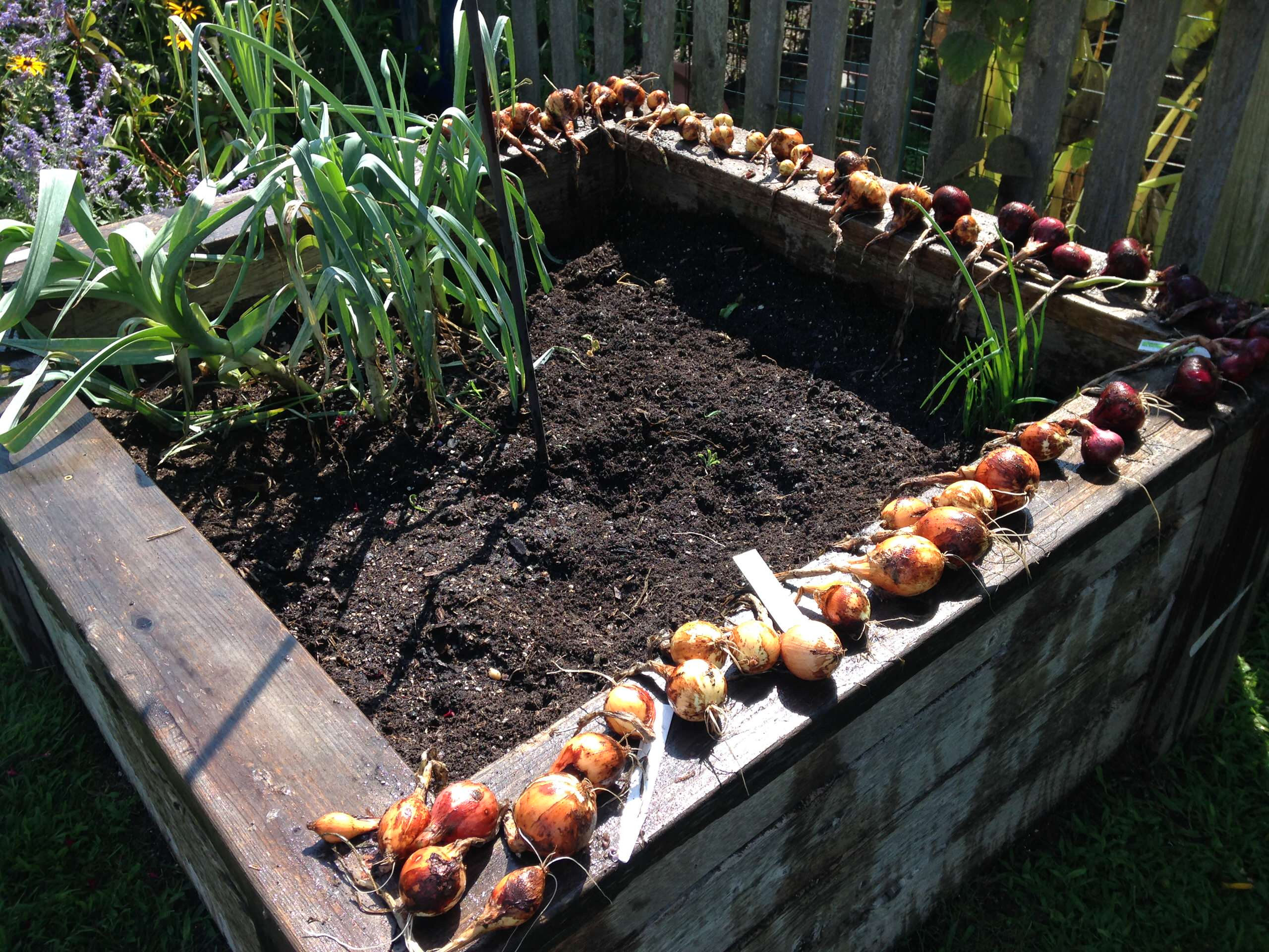 Живите и радуйтесь: Балконная жизнь осенью