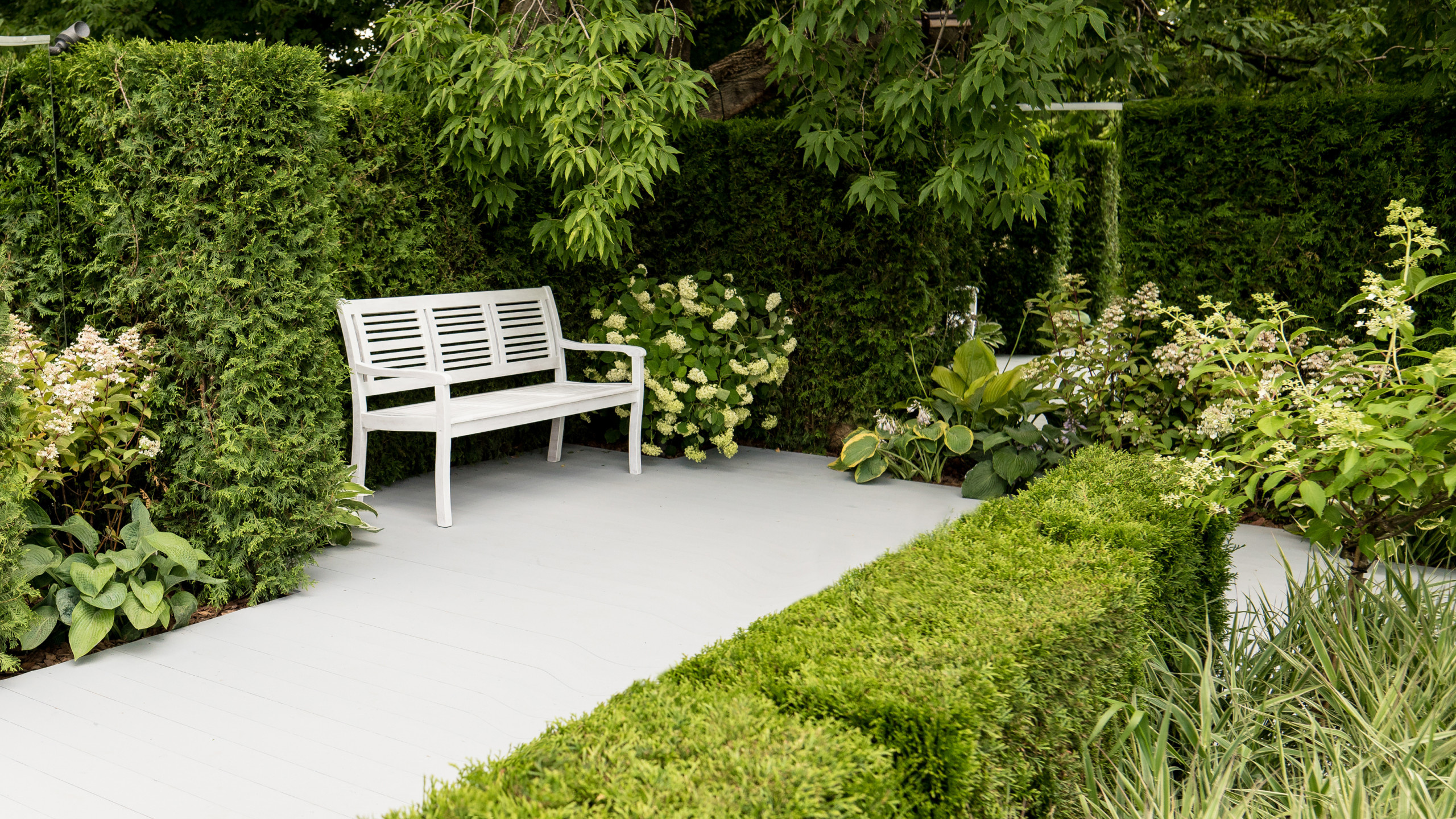 Проект недели: «Тайны соблазнов» — сад для Вячеслава Зайцева