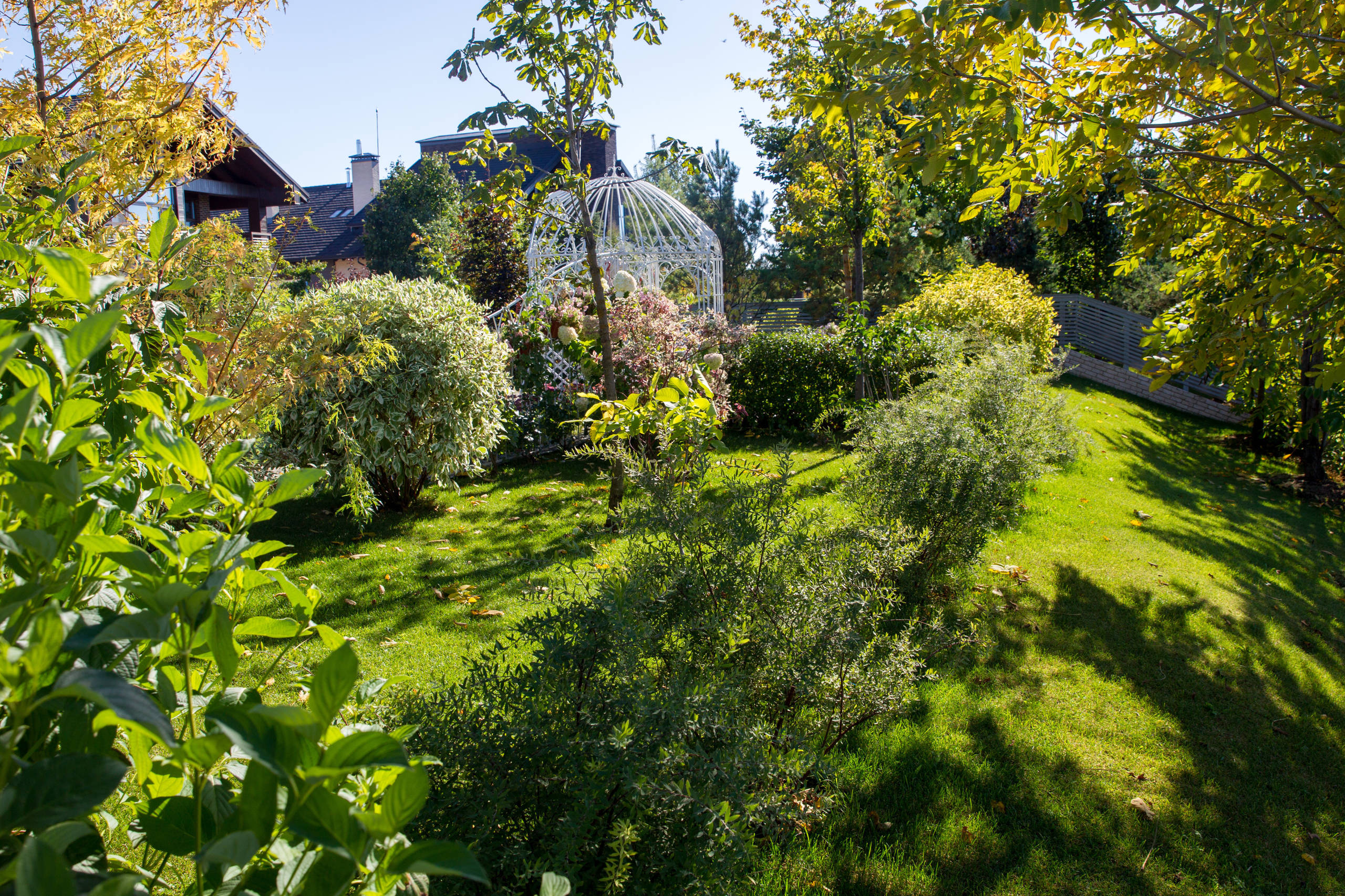 В гостях: Подмосковный сад со средиземноморским характером