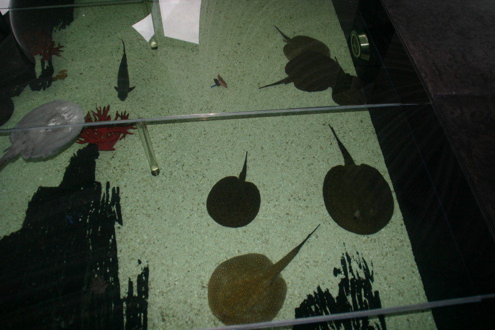 Задача дизайнеру: 6 интерьерных проектов ну прямо «как в кино»