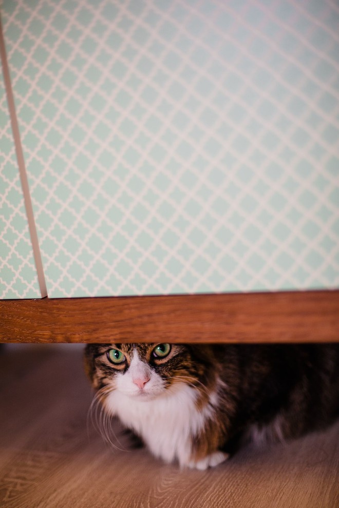 Ситуация: Заказчики разводятся в процессе ремонта