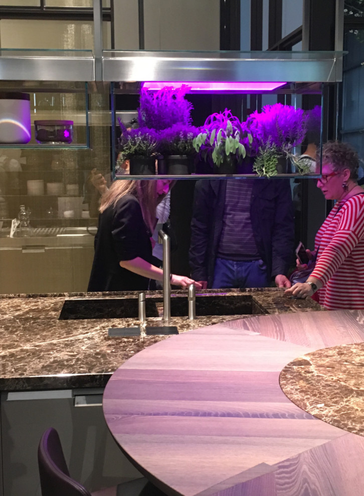 Микротренды: Мода на сад в интерьере. Внезапно иной