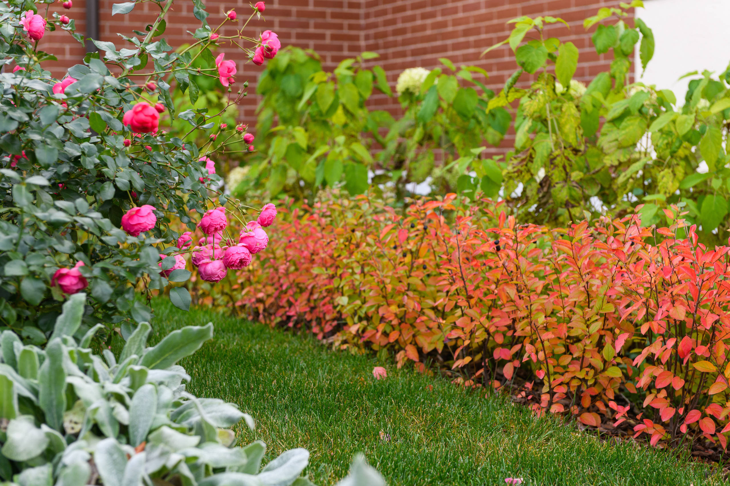 В гостях: Германия в русском саду