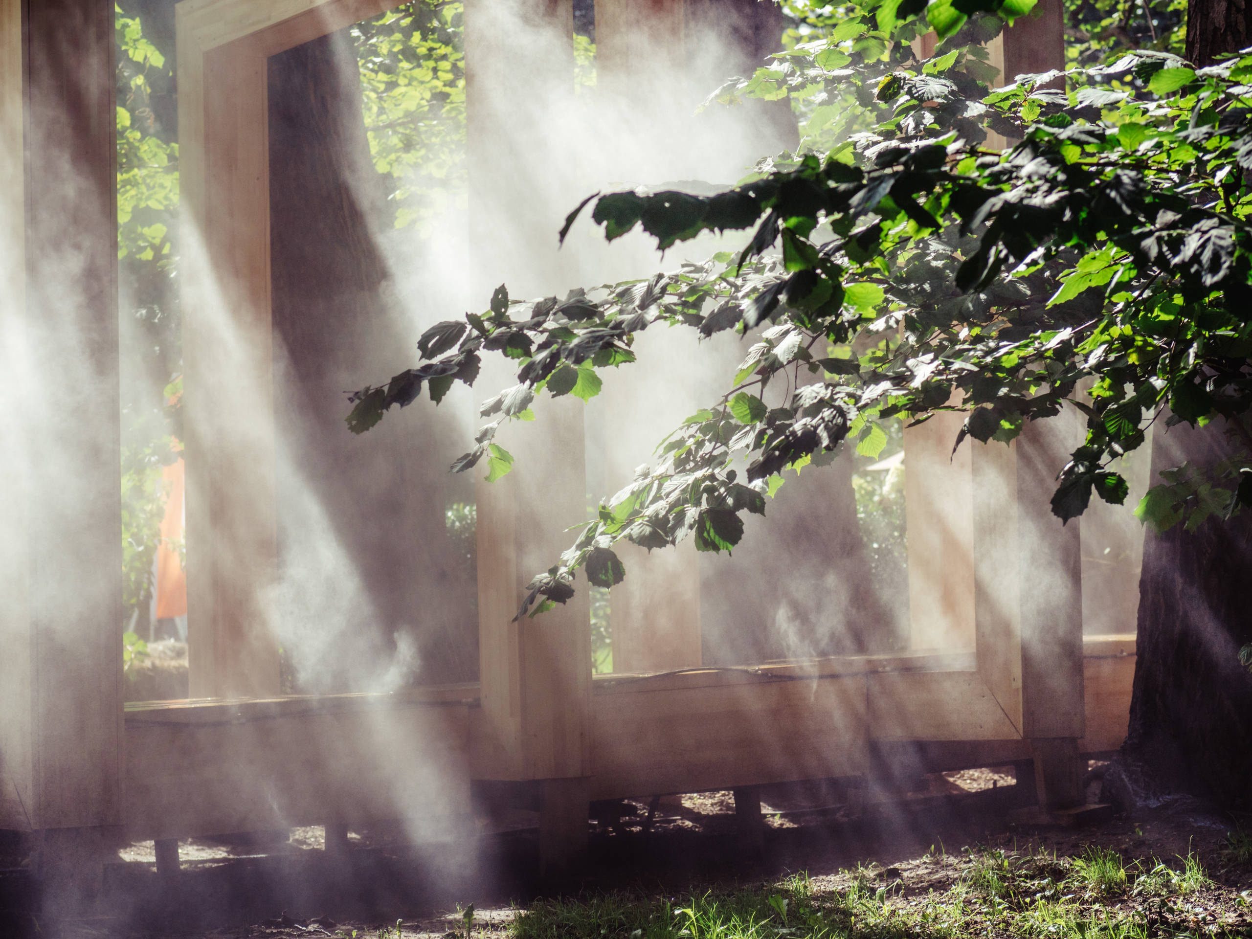 Как правильно: Организовать туман в саду