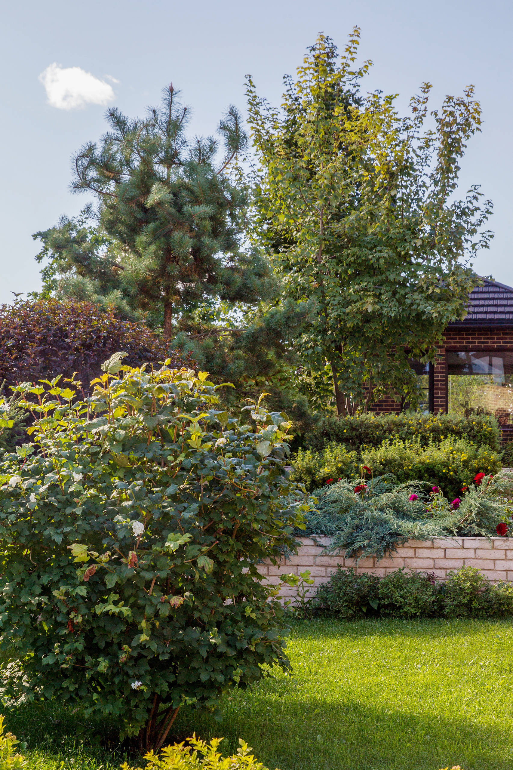 В гостях: Подмосковный сад со средиземноморским характером