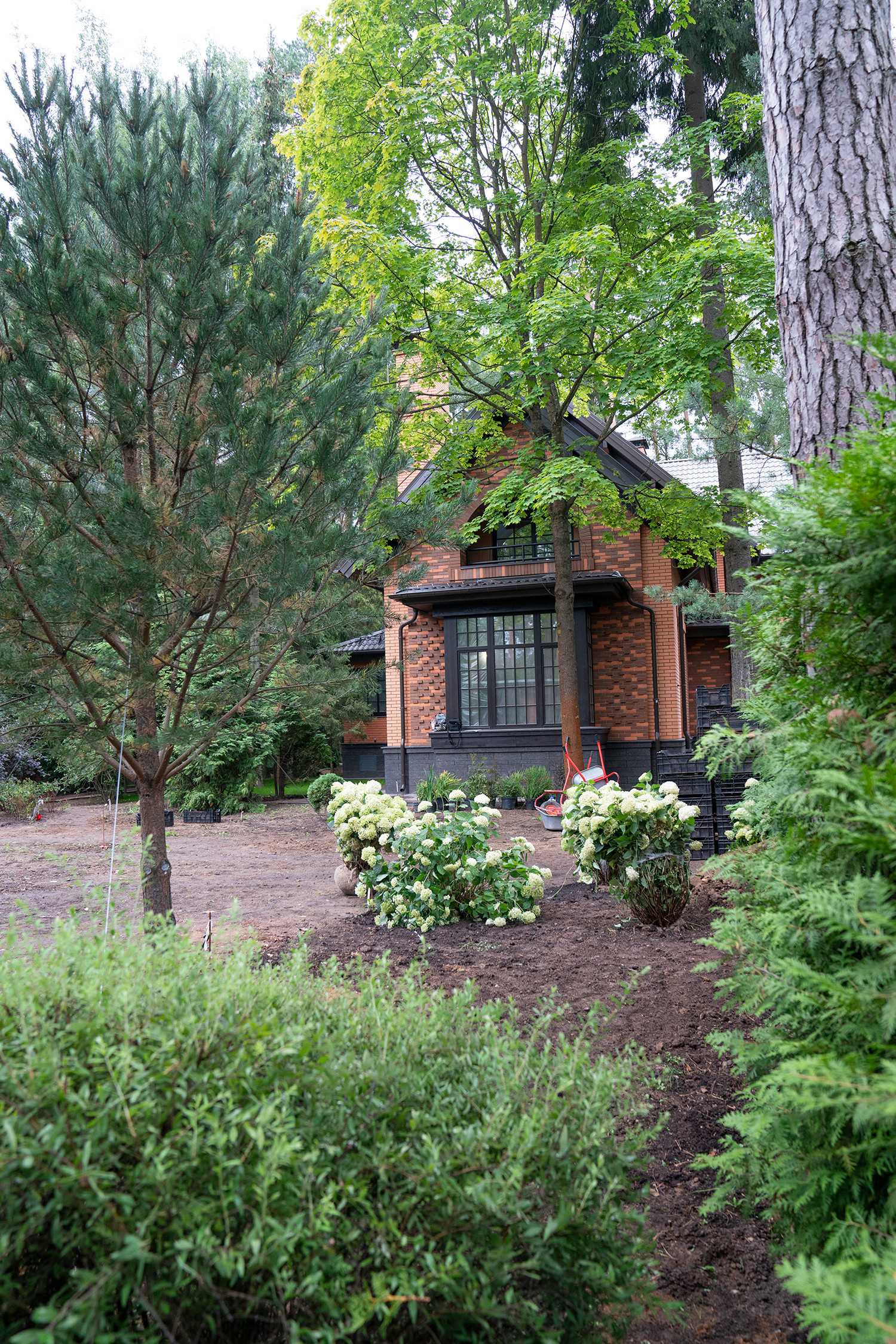 Таймлайн: 9 месяцев на реновацию сада 45 соток в английском стиле