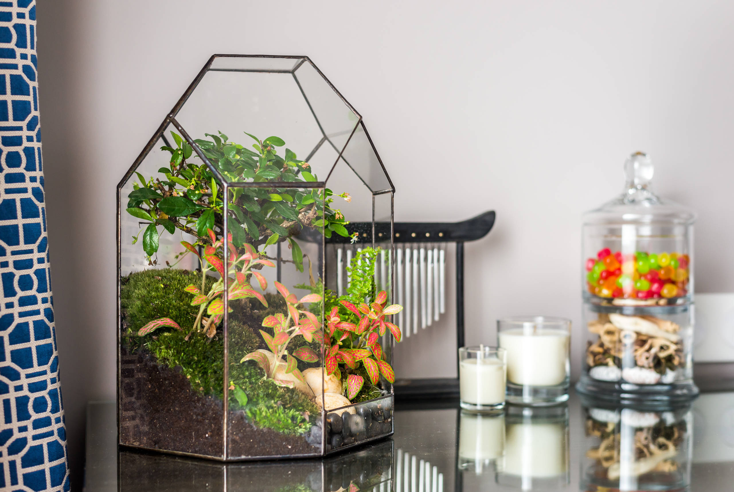 Тайный фэншуй: Какие растения в доме держать не стоит