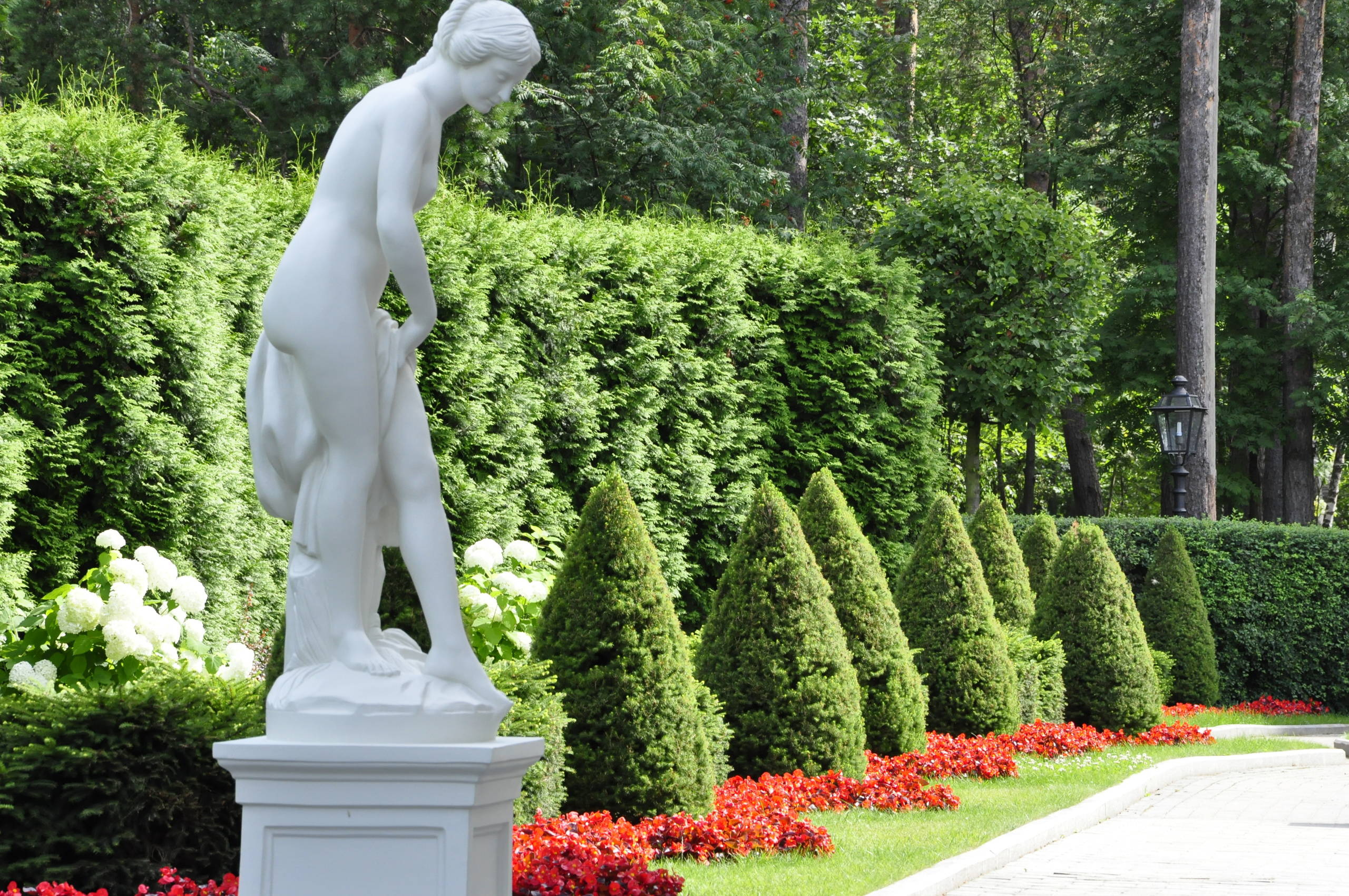 Зрелый сад: Как организовать уход за деревьями