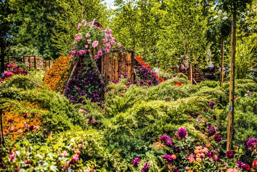 Как правильно: Искать идеи на фестивале садов и цветов