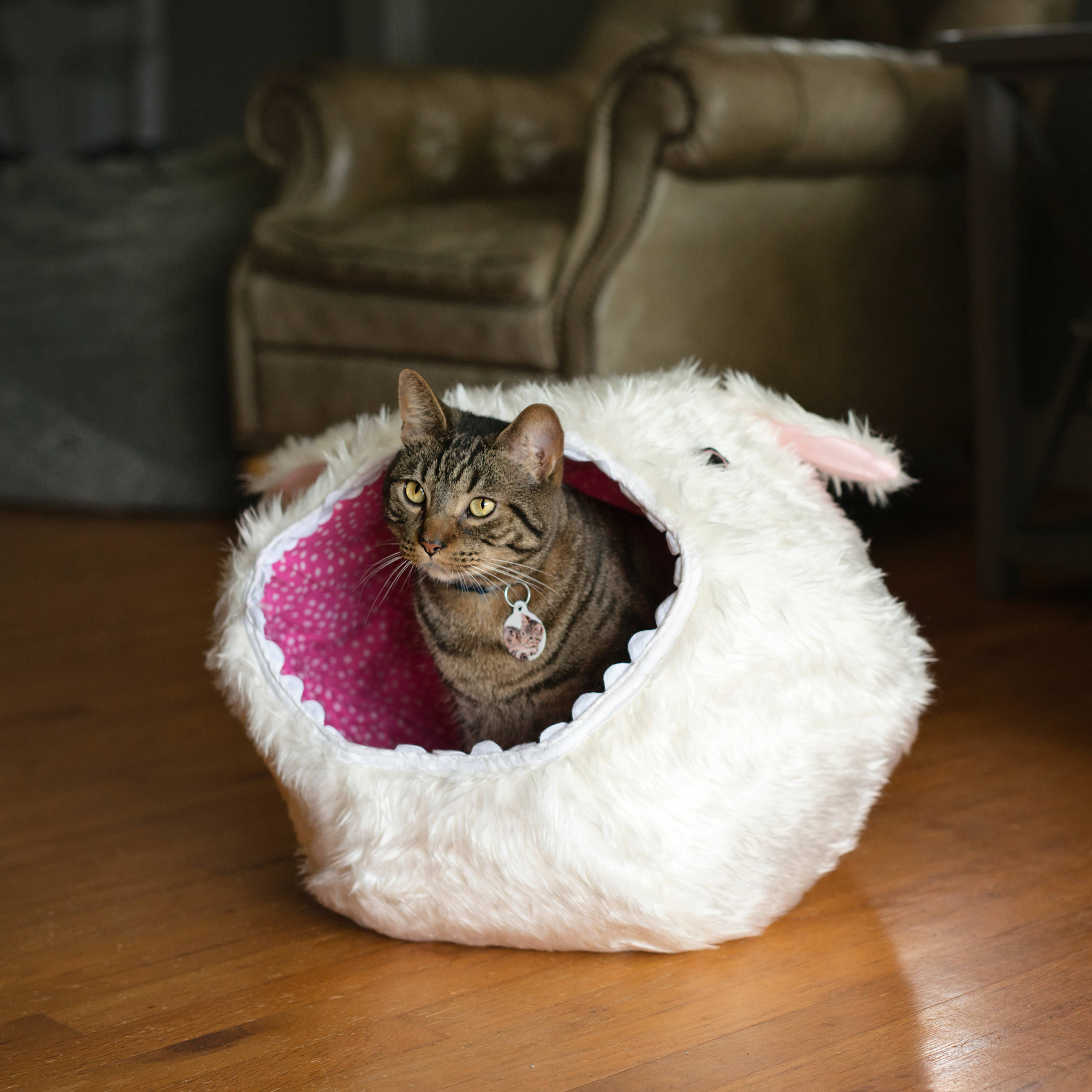 Фотоохота: Домики для кошек своими руками — 40 идей