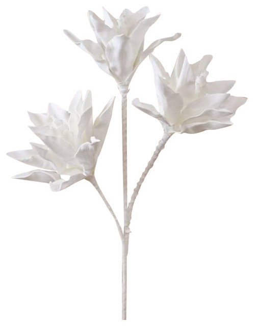 Дизайн-дебаты: Какими растениями украшать жилой интерьер