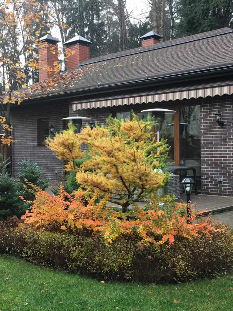 В гостях: Сад на 14 сотках, где живут круглый год