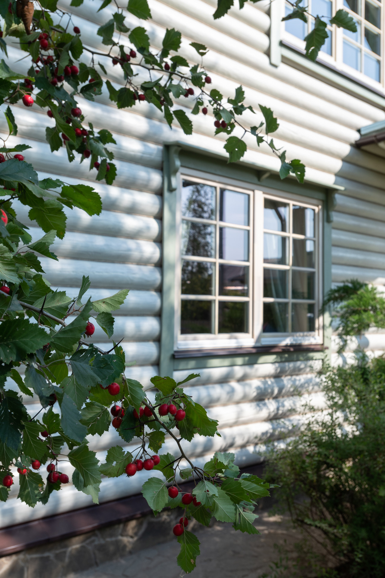 Смета и сроки: 3,6 млн рублей и 5 месяцев на перекраску дома