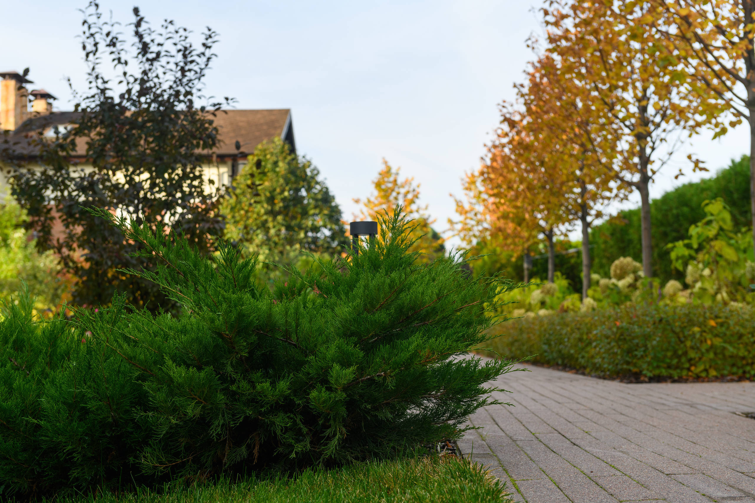 В гостях: Германия в русском саду