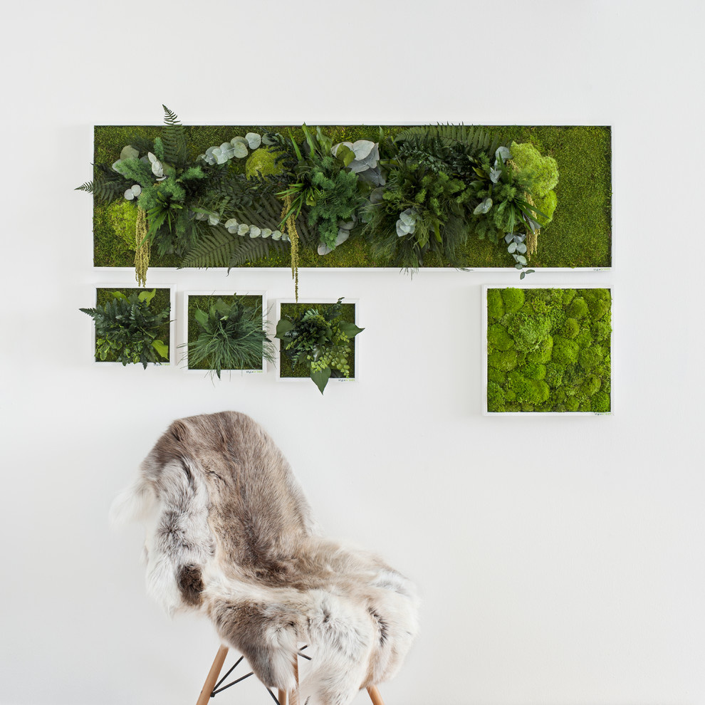 Дизайн-дебаты: Какими растениями украшать жилой интерьер