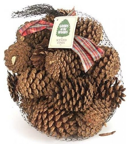 Фотоохота: 72 поделки из шишек — почему бы и нет