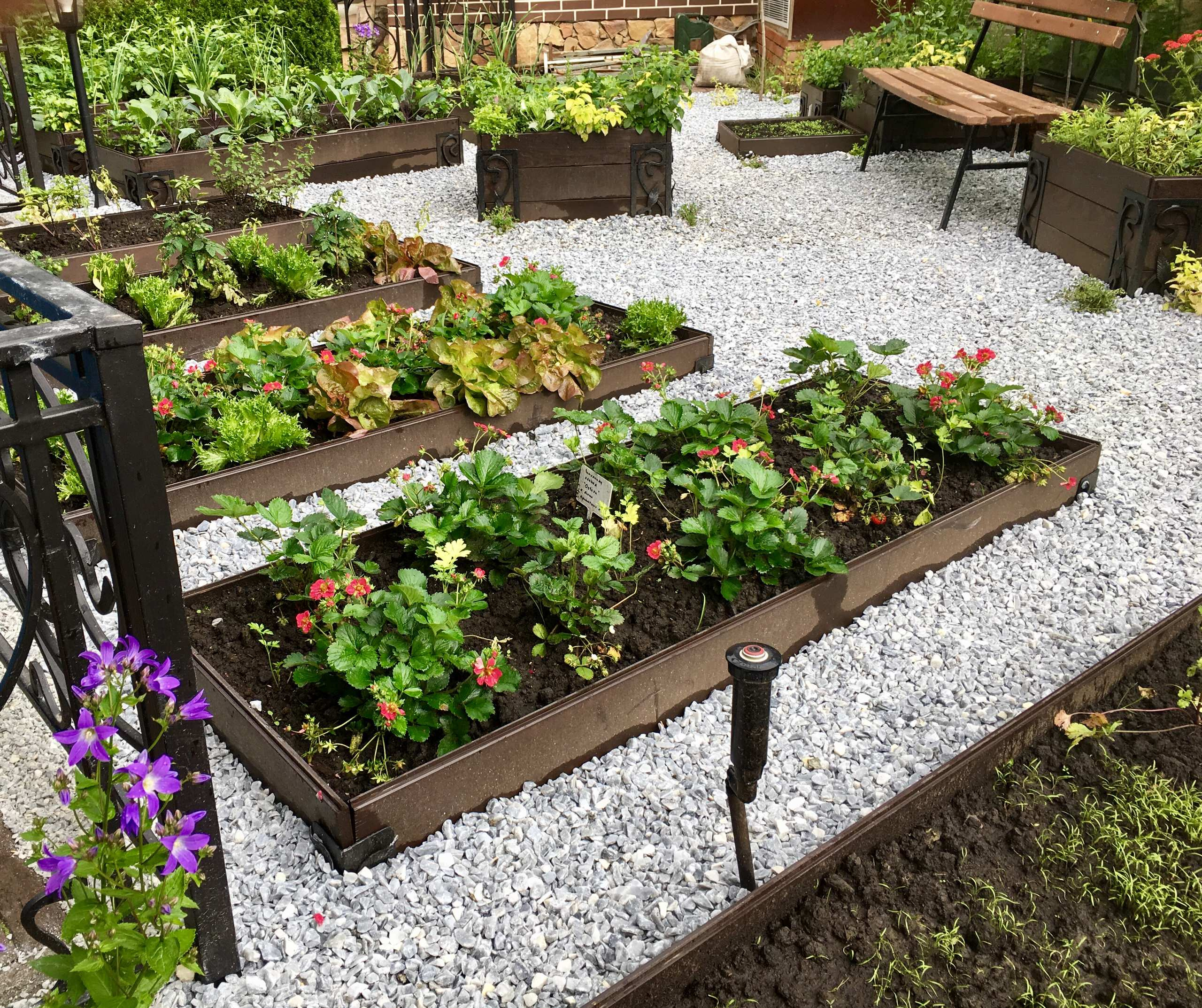 В гостях: Сад на 14 сотках, где живут круглый год