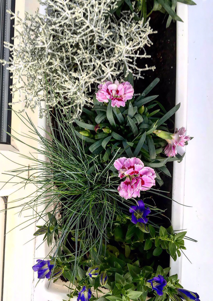 Что-то с чем-то: Как создавать композиции из растений