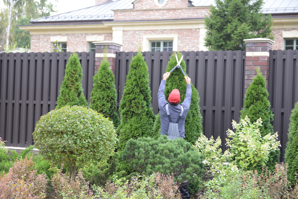 Зрелый сад: Как организовать уход за деревьями
