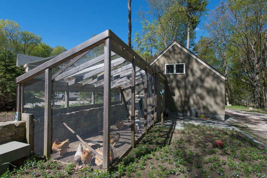 Вопрос: Как построить курятник своими руками