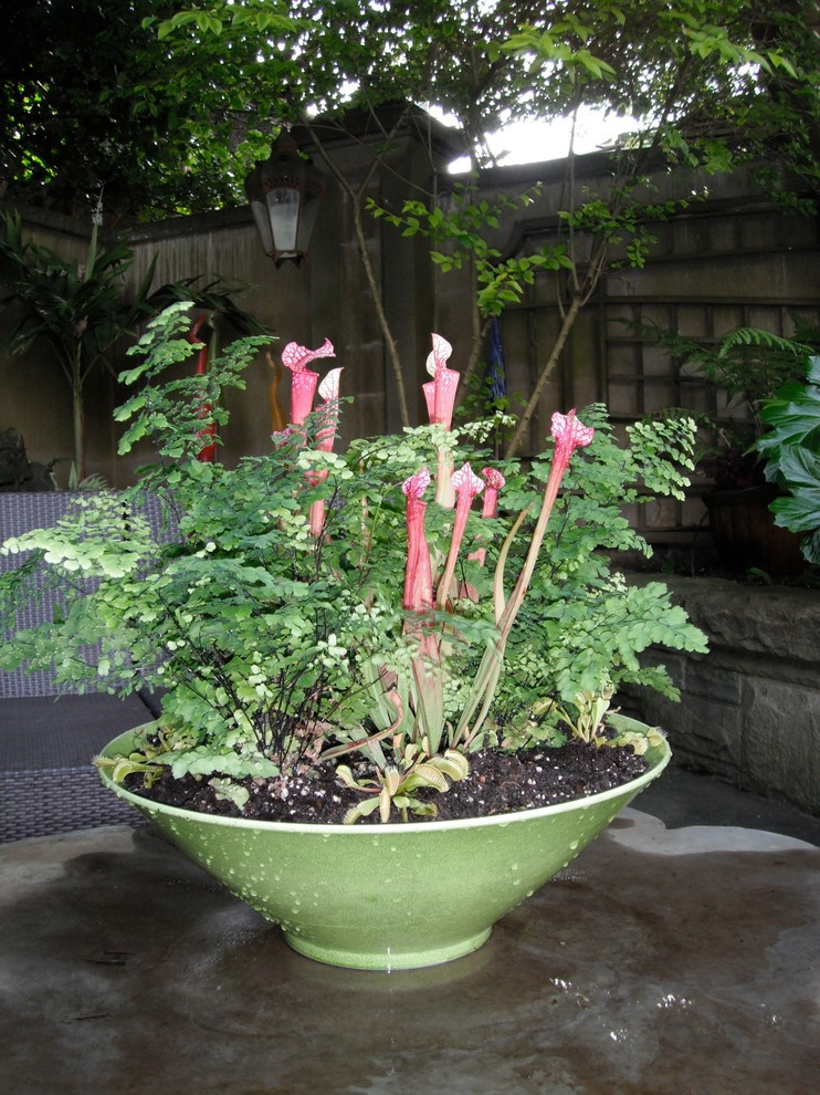 Фотоохота: 50 схем для высадки в летние кашпо