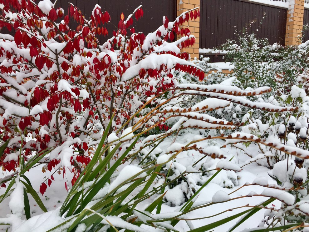 Проект недели: Пестрый сад в Рязанской области