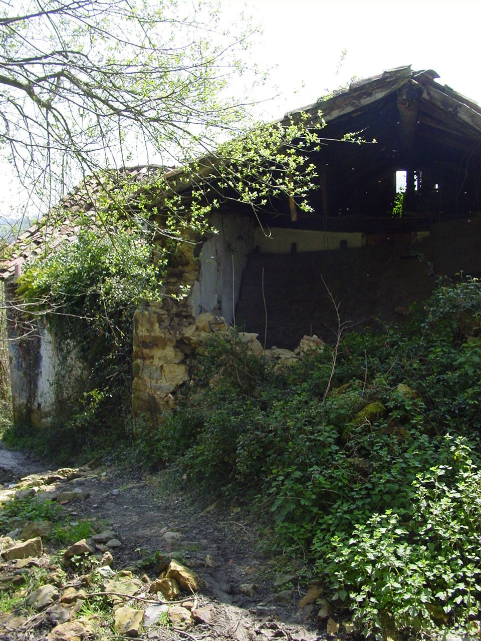 Дом: Когда выгоднее строить, когда — покупать и перестраивать