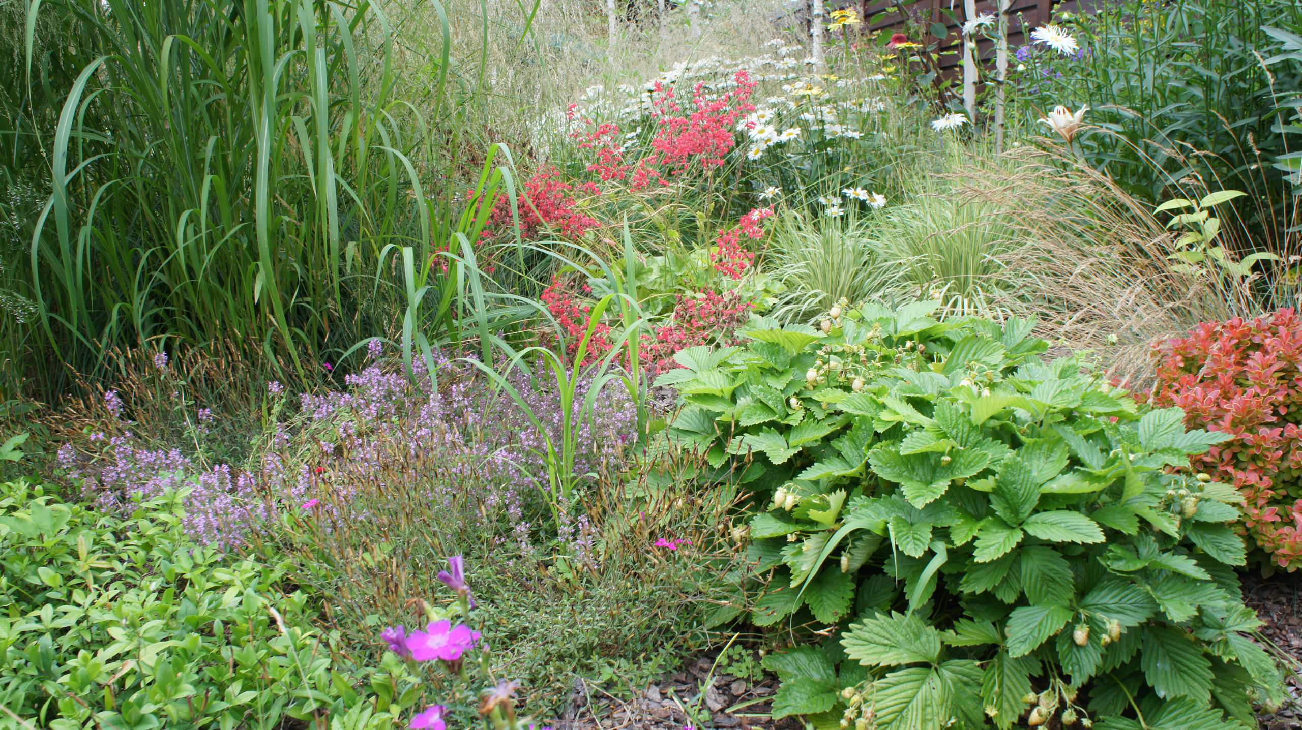 Сад недели: Весна в Подмосковье