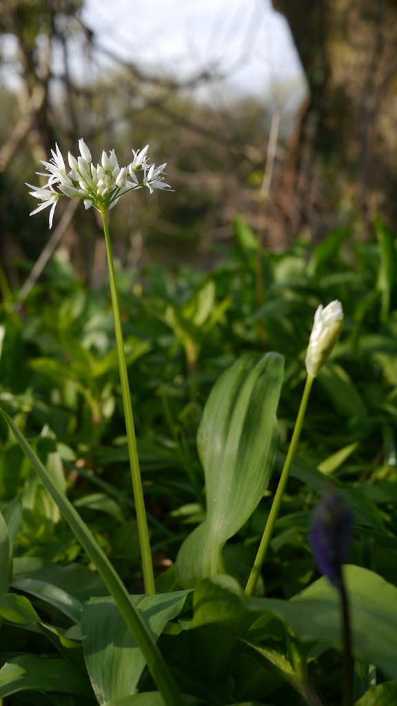 Как правильно: Создать огород в «неудобном» месте