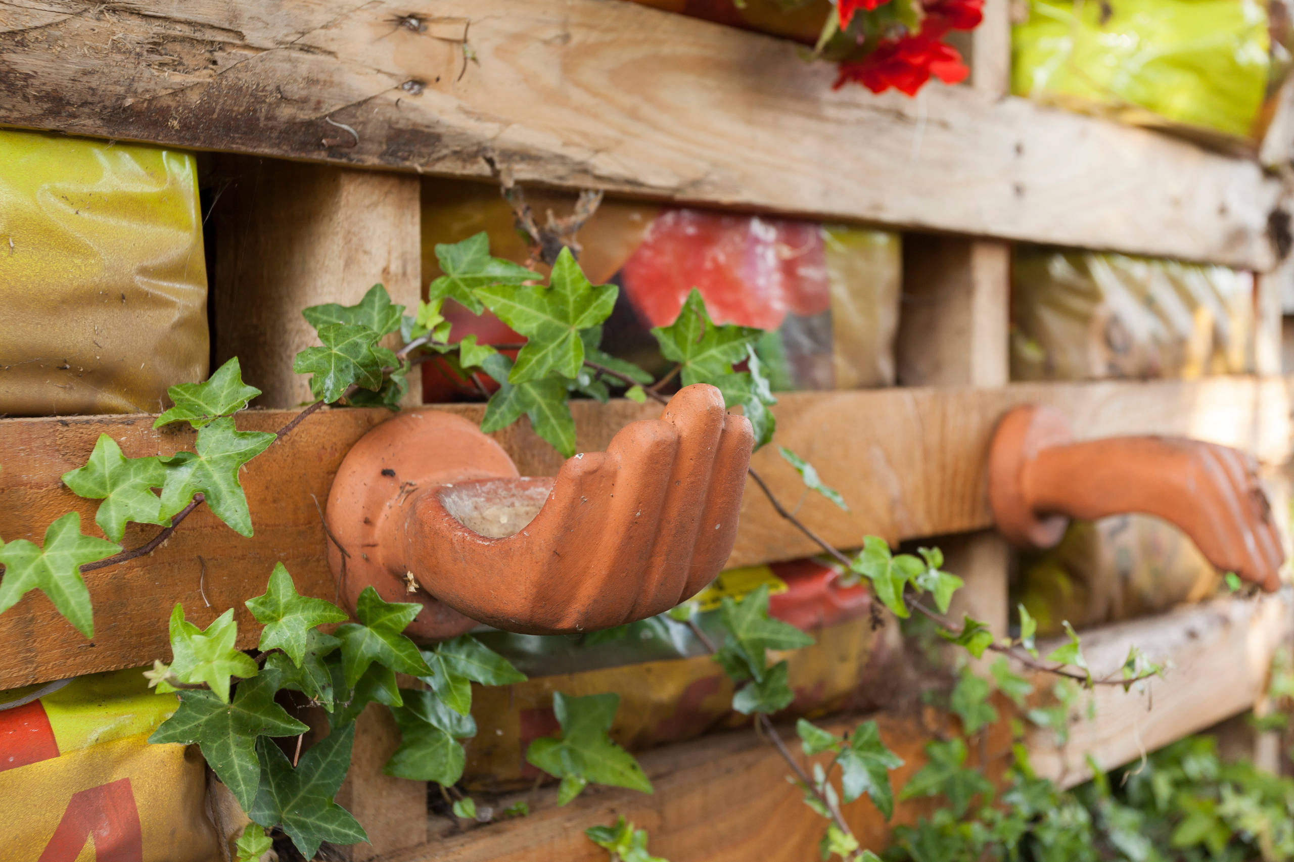 Фотоохота: 85 вдохновляющих уголков сада