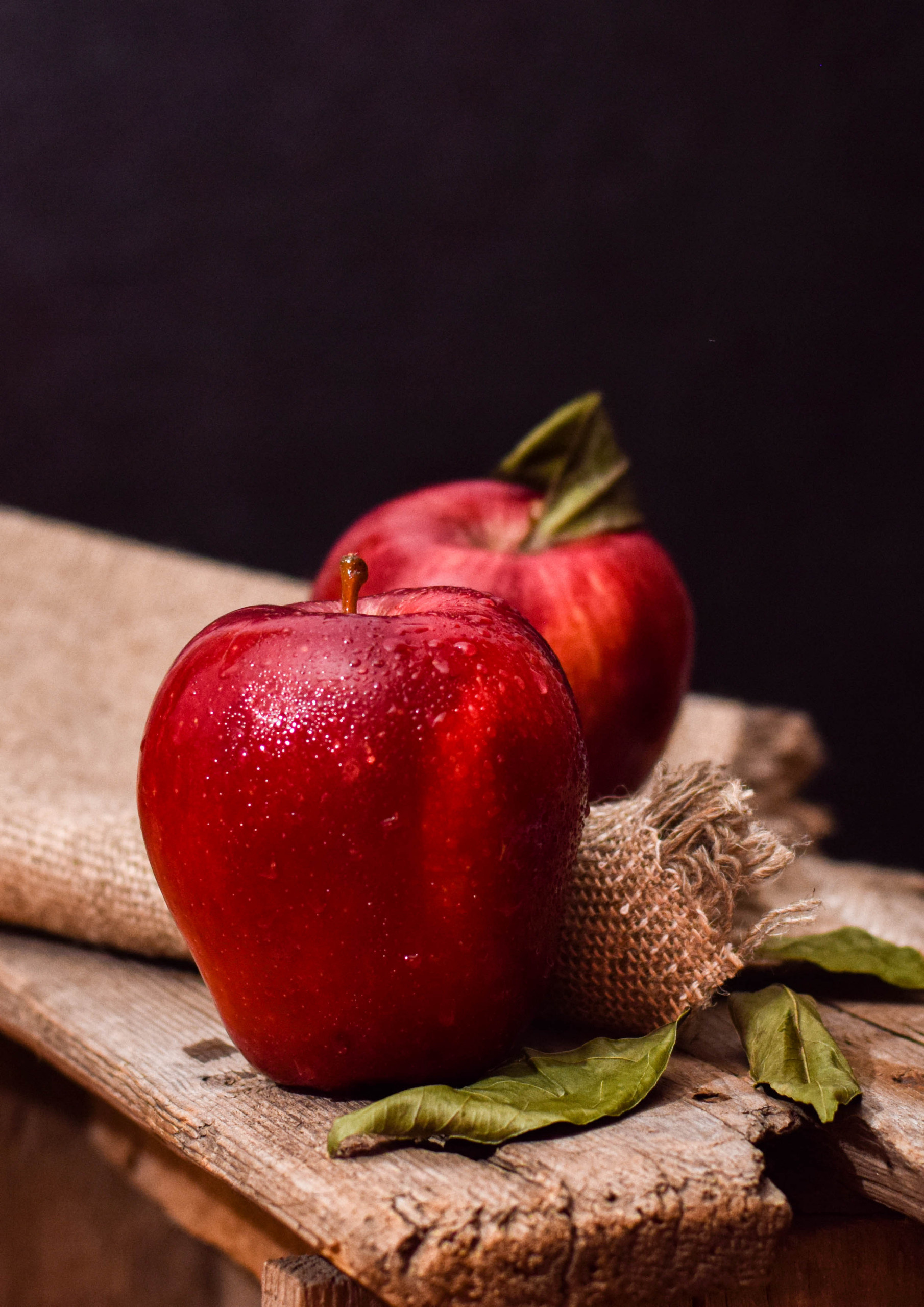 Как правильно: Уход за плодовыми деревьями и кустарниками