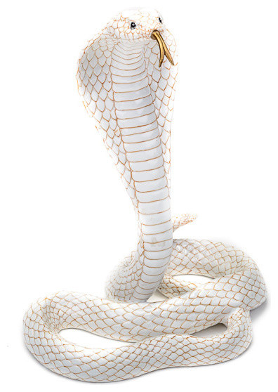 Тайный феншуй: Как выбрать цвет интерьера по году рождения