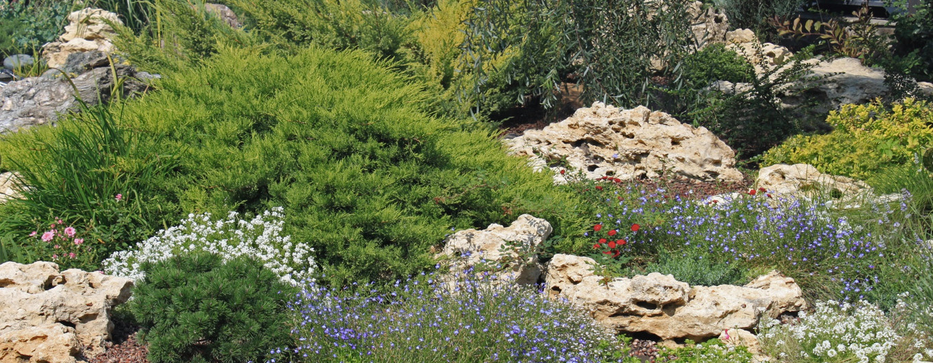 Сад для ленивых: Создание красивого сада, не требующего ухода