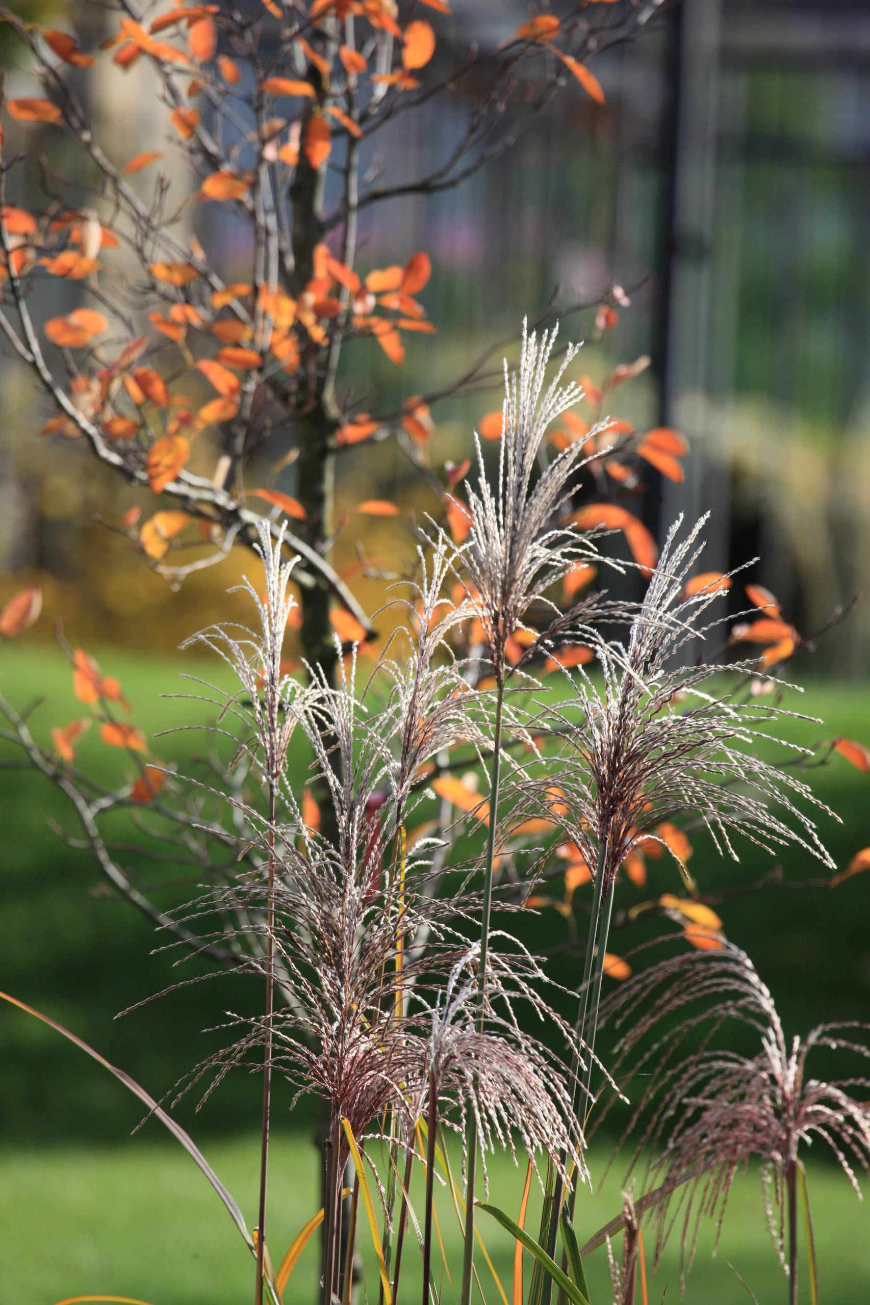 Вопрос: Как пережить сезонную депрессию за городом