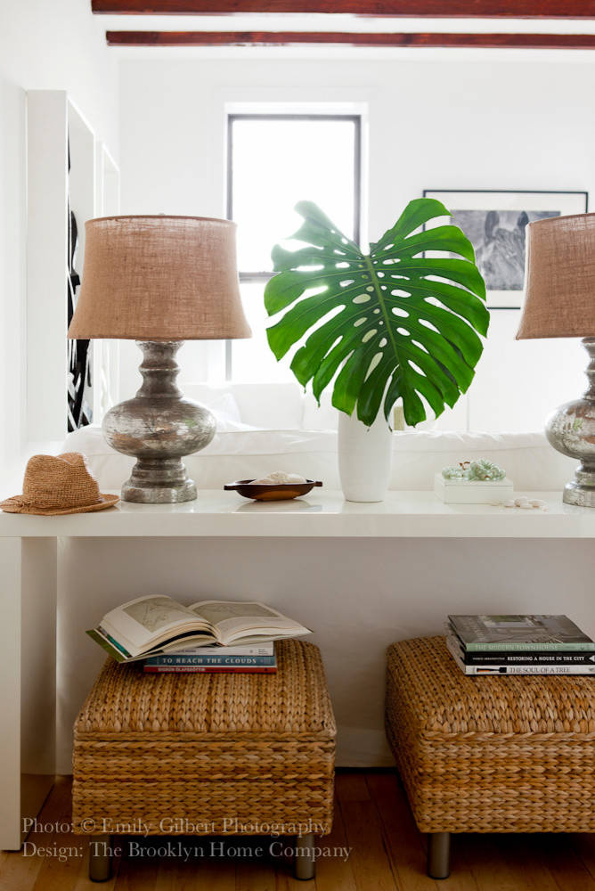 Микротренды: Мода на монстеру