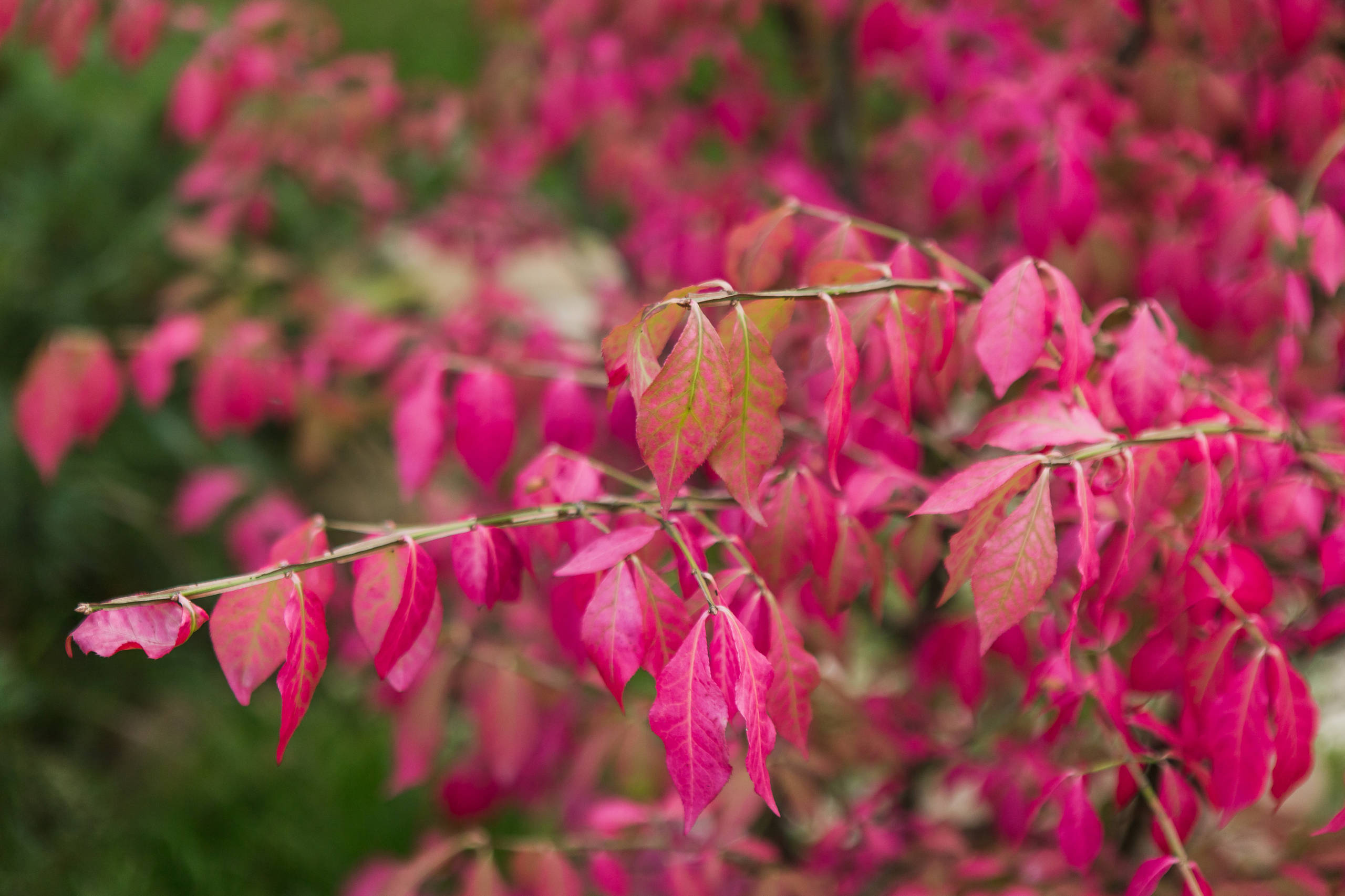В гостях: Экодом в центре Новой Москвы взамен квартиры