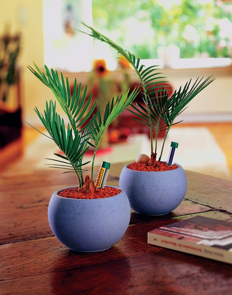 Вопрос: Чем заменить землю для растений в горшках