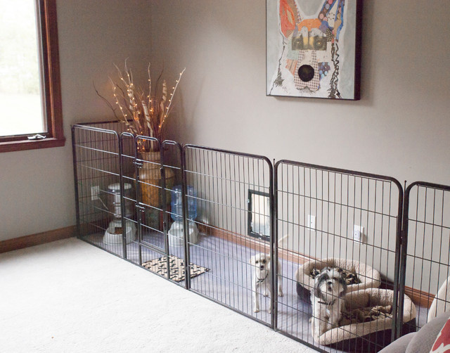 Задача дизайнеру: 8 неожиданных запросов от хозяев животных