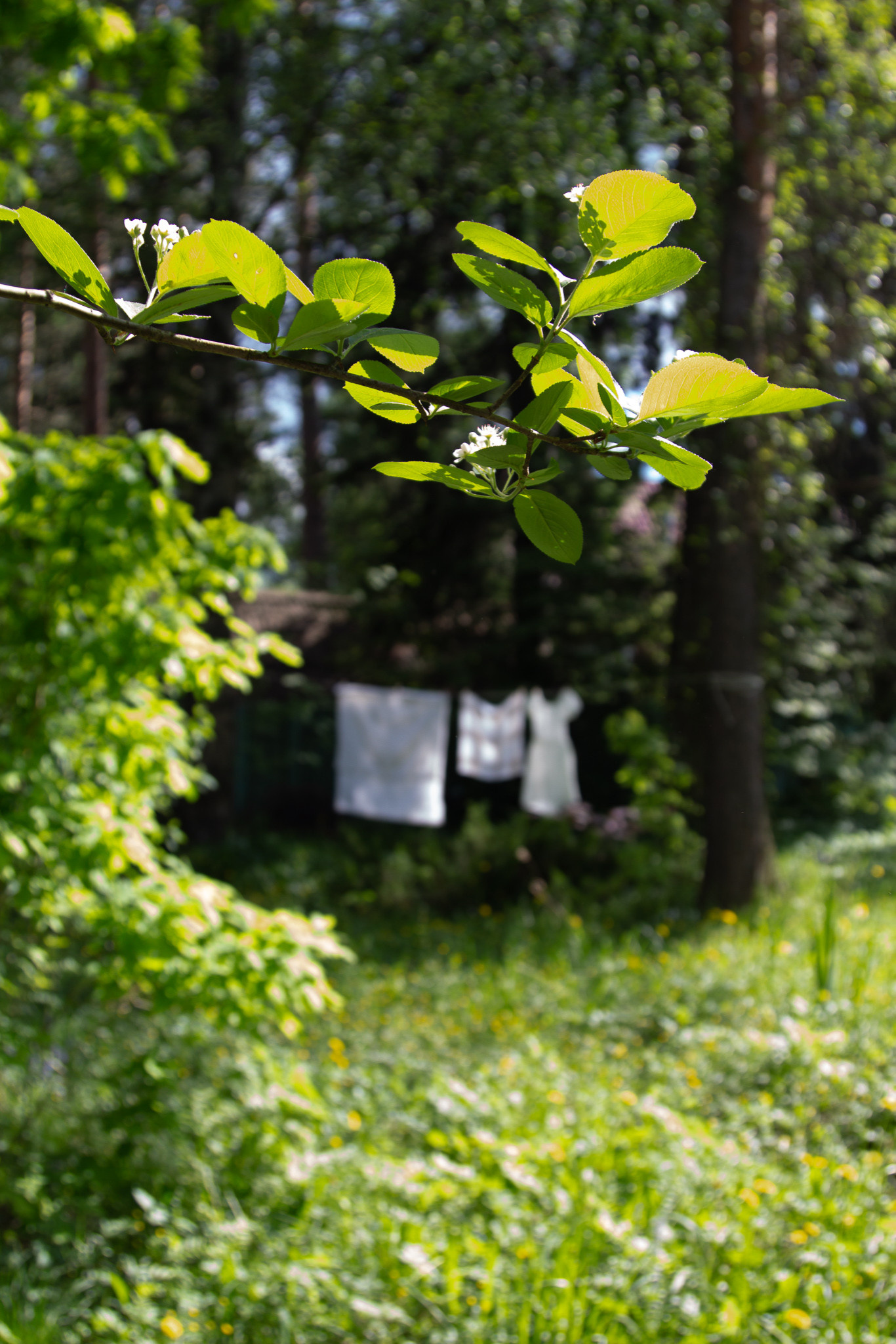 В гостях: Советская дача дизайнера Наташи Ломейко