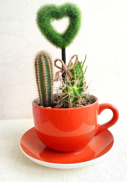 Феншуй: 13 запрещенных предметов в доме