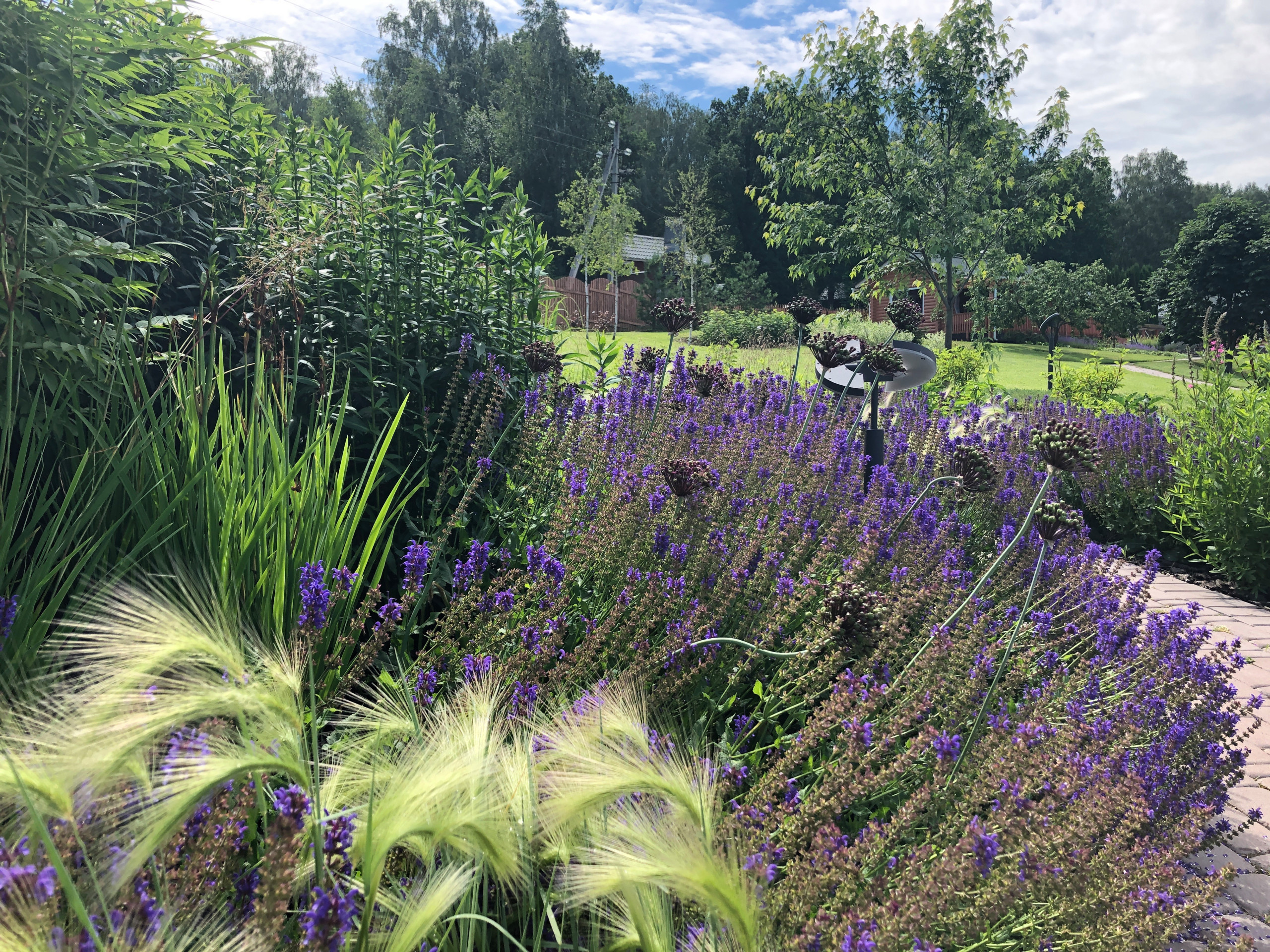 В гостях: Переделка природного сада у каскада прудов