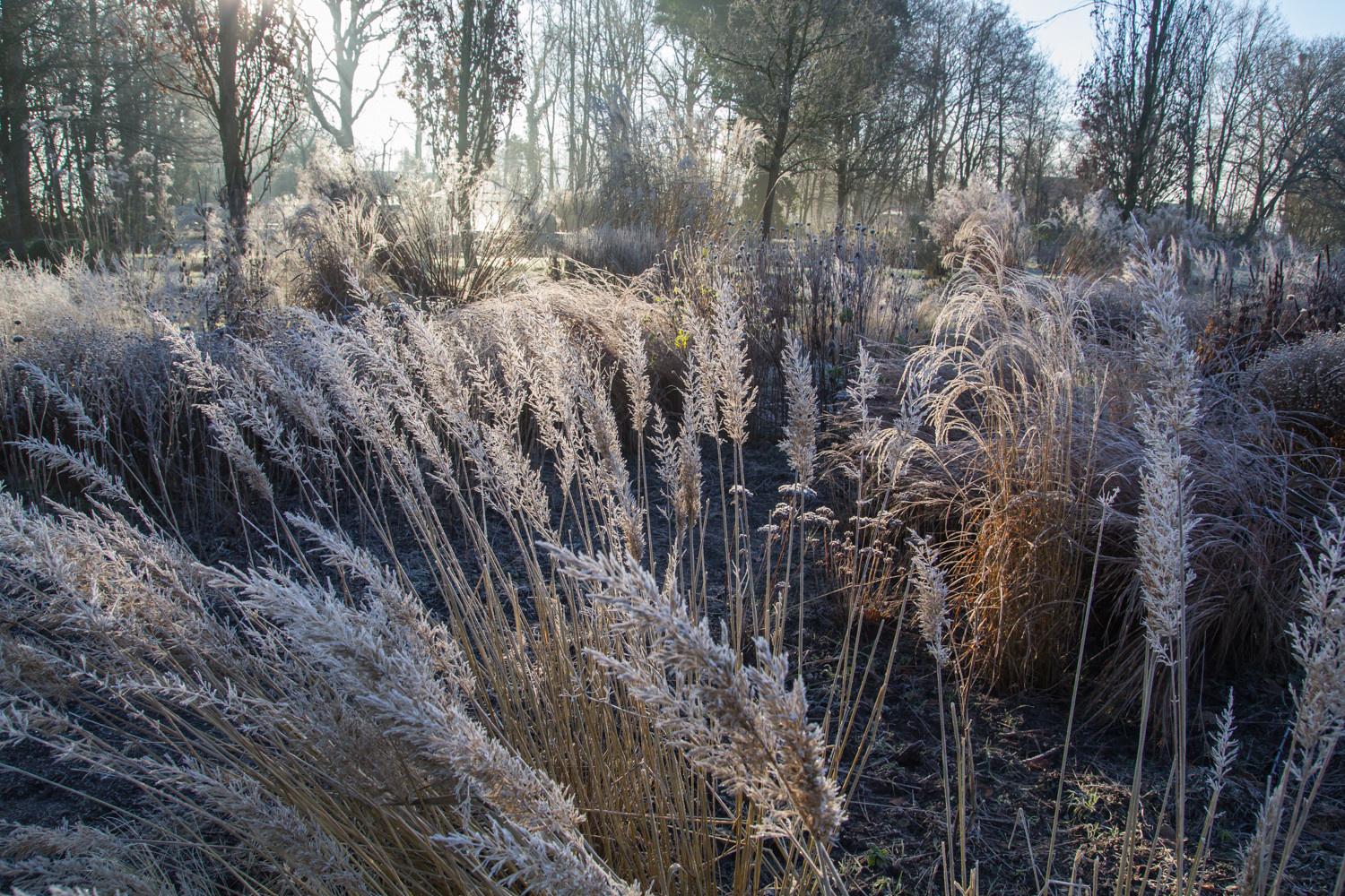 Вопрос: Как пережить сезонную депрессию за городом