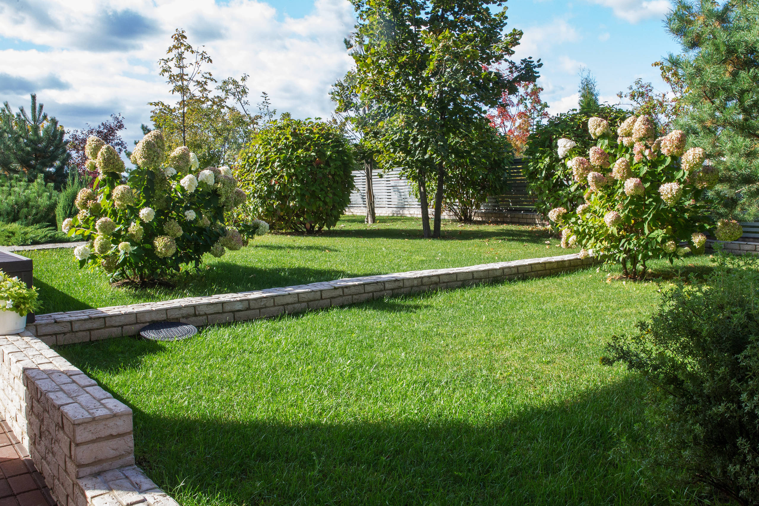 В гостях: Подмосковный сад со средиземноморским характером