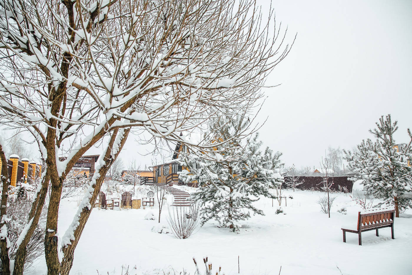 В гостях: Сад под Рязанью в ожидании праздника