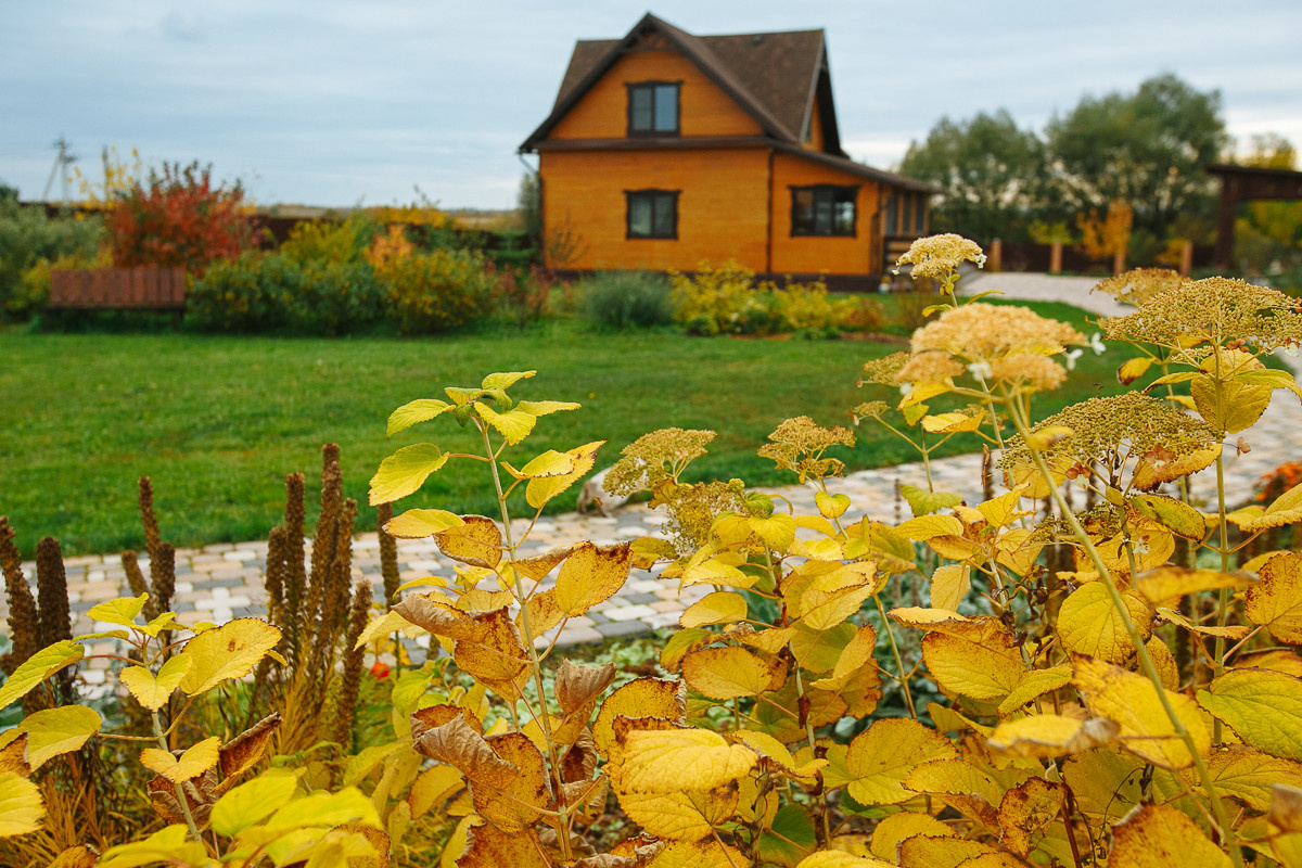 Проект недели: Пестрый сад в Рязанской области