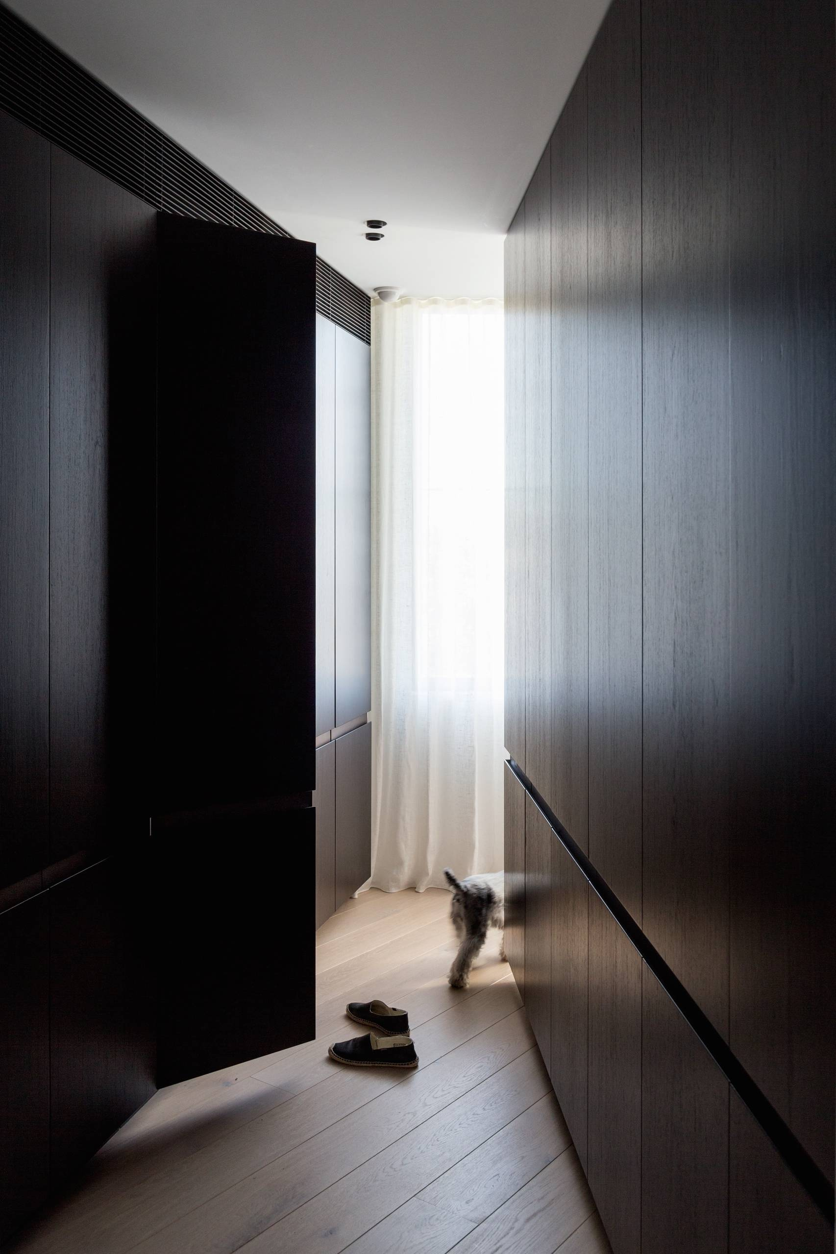 Задача дизайнеру: 8 неожиданных запросов от хозяев животных