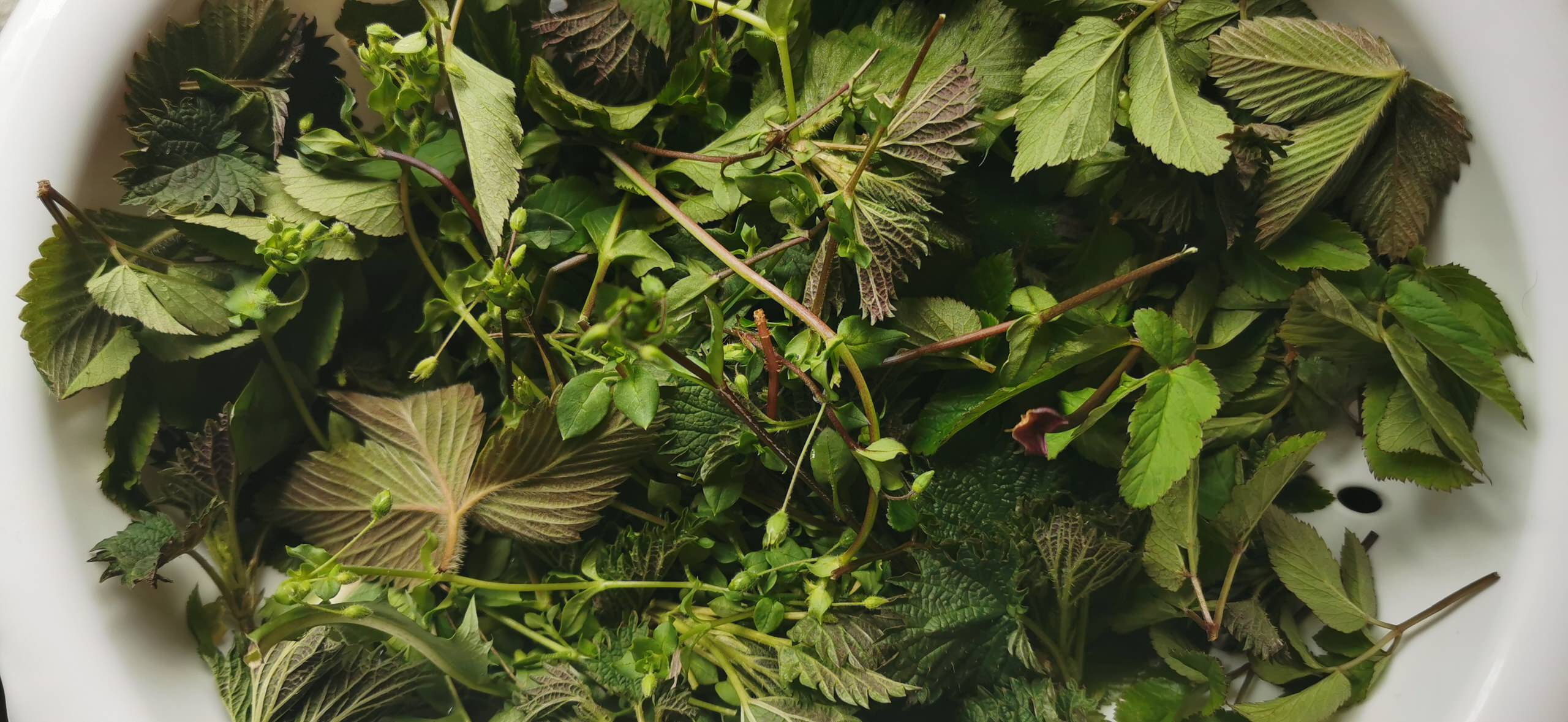 Как правильно: Делать зеленые смузи