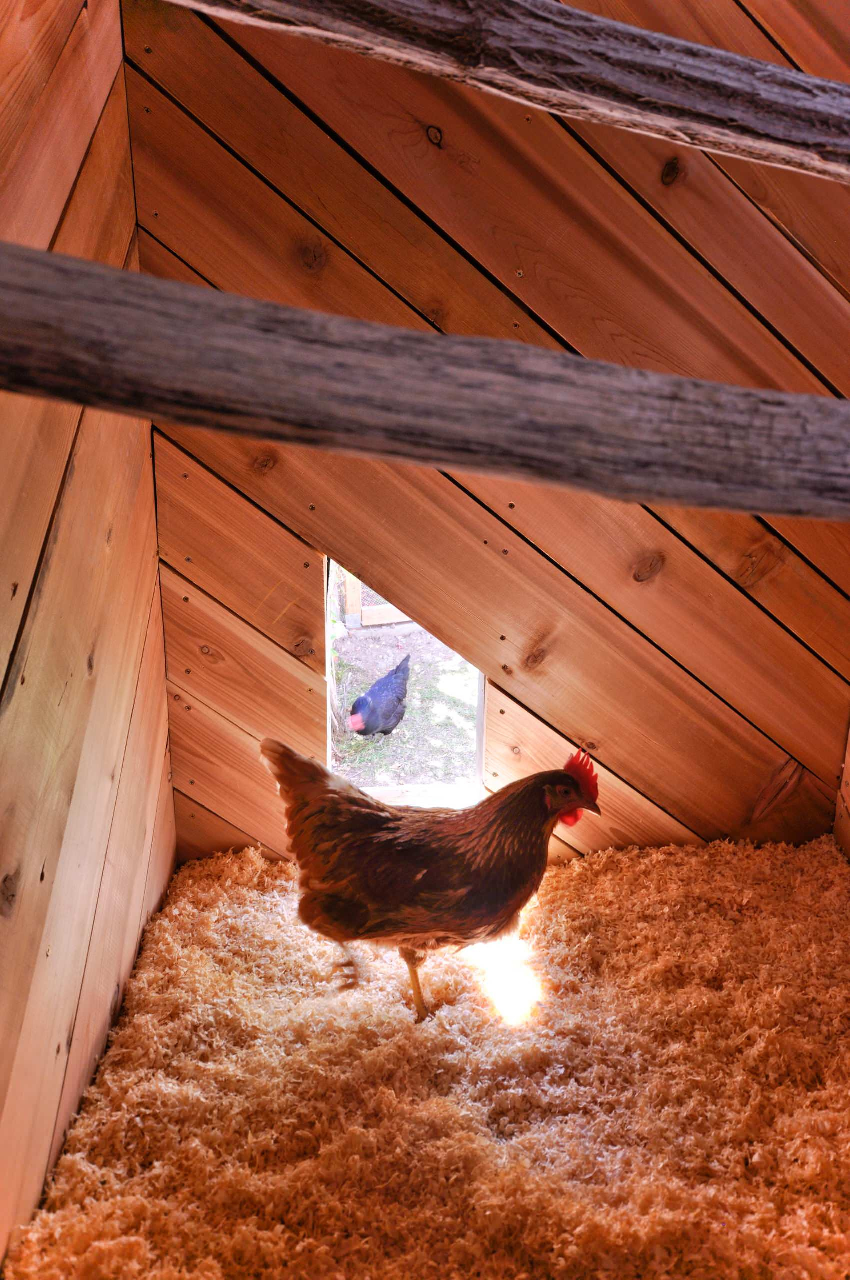 Как правильно: Утеплить деревянный дом