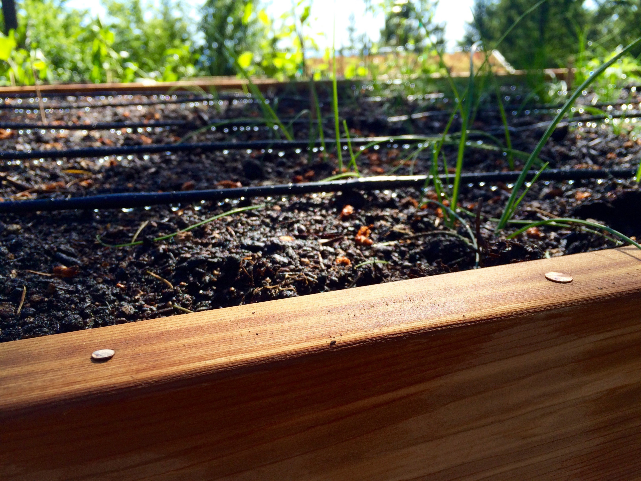 Вопрос: Как сделать автополив на участке